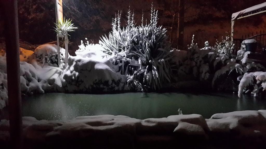 Alesta Butik Otel أجفا المظهر الخارجي الصورة